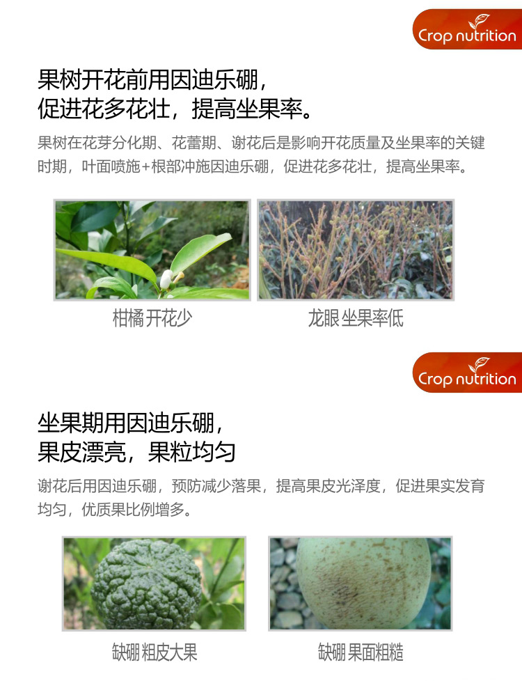 因迪樂(lè )有機海藻硼_04.jpg
