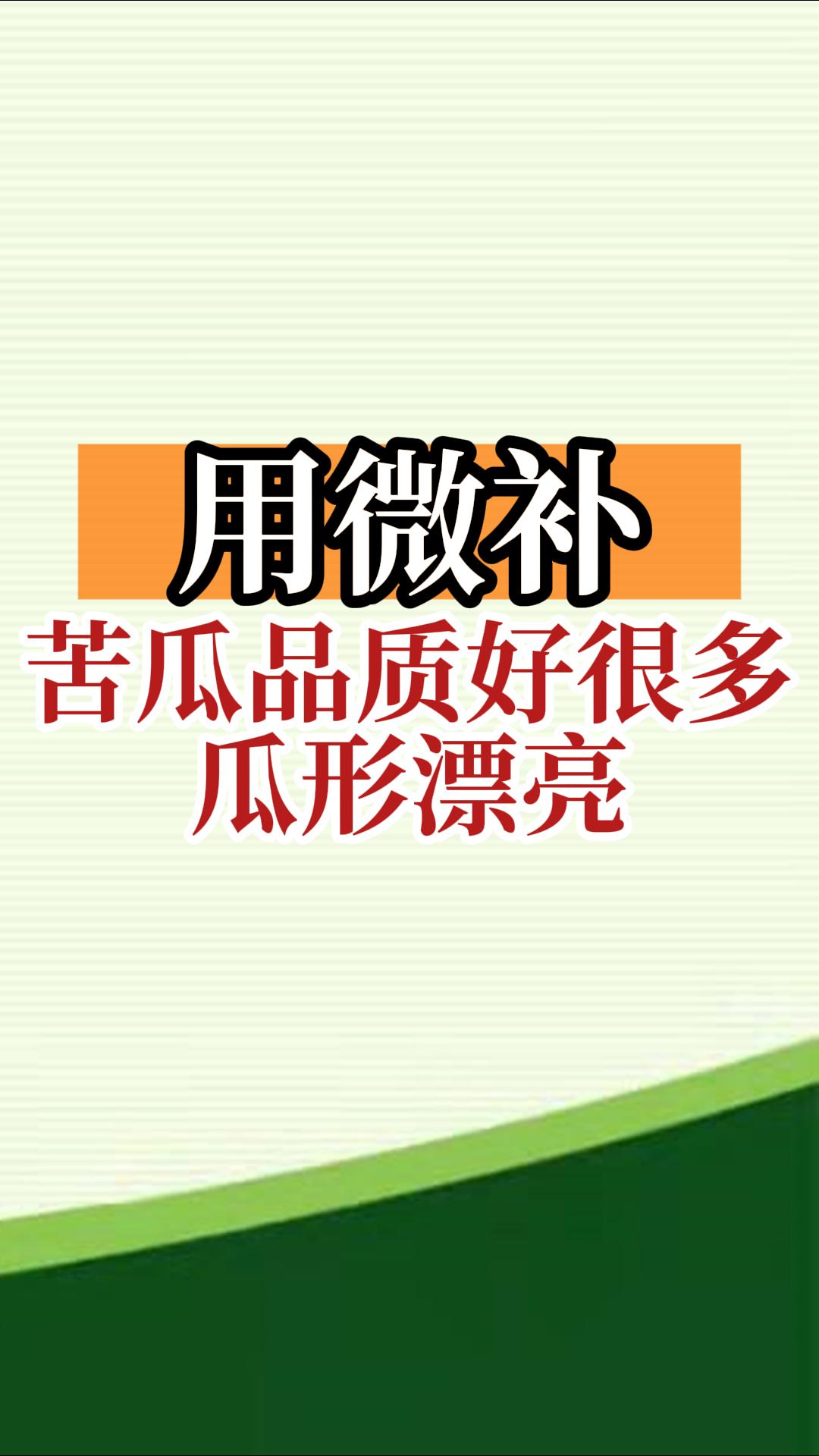 用微補(bǔ)，苦瓜品質(zhì)好很多，瓜形漂亮