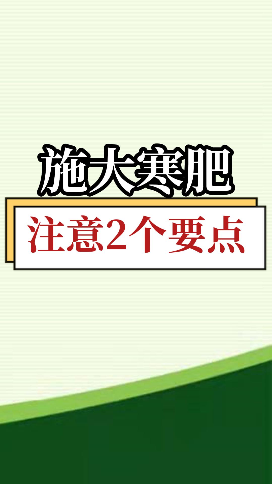 施大寒肥，注意2個要點