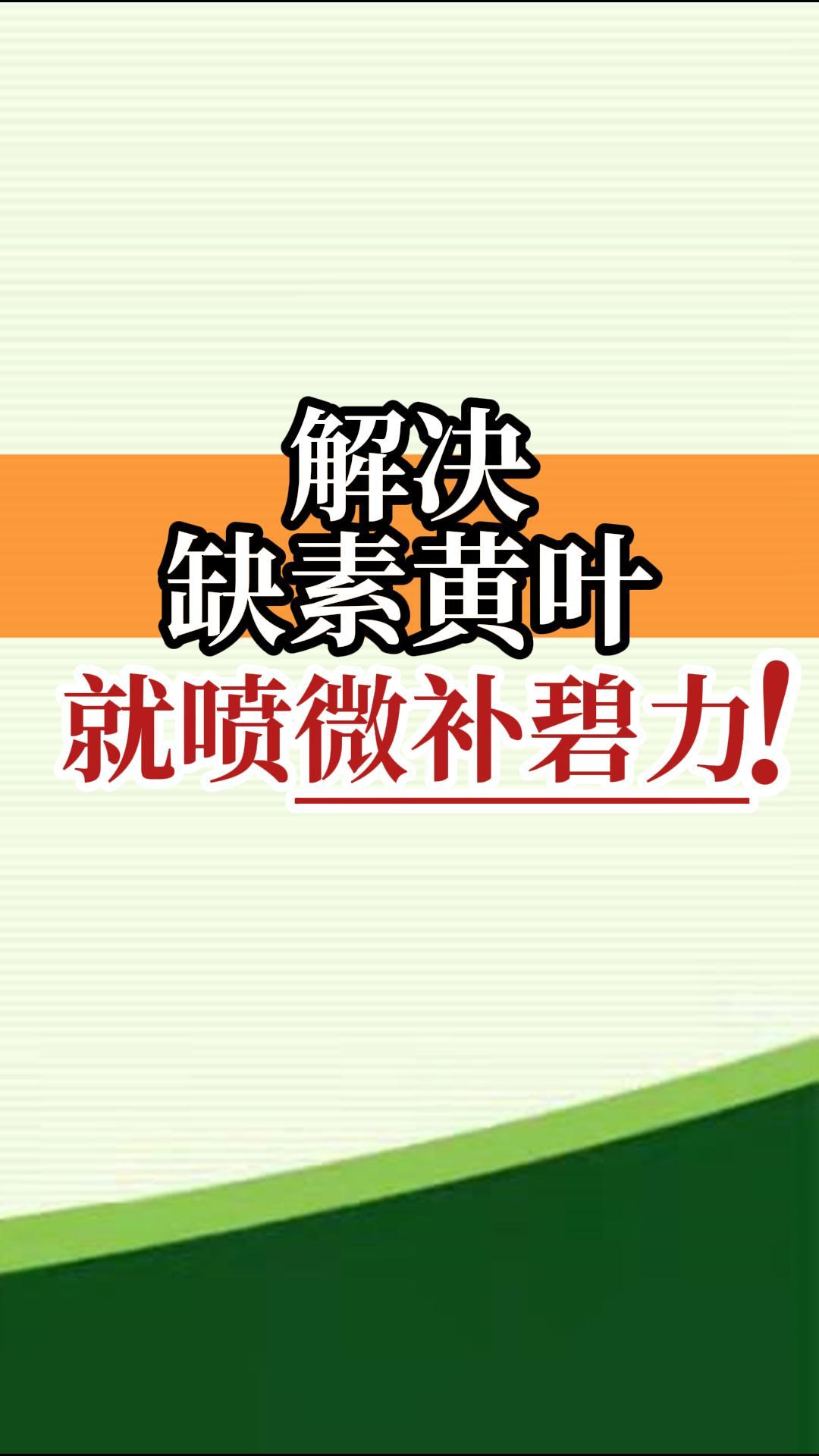 解決缺素黃葉就噴微補碧力！